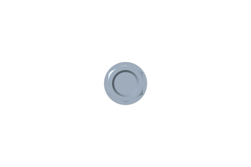 Screw - Originale Toro - 613208