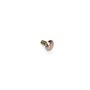 Screw-Carr - Originale Toro - 33125-025