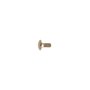 Screw-Carr - Originale Toro - 33125-025