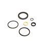 Seal Kit - Originale Toro - 125-4302