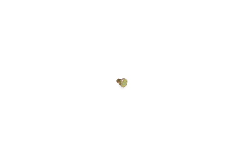 Screw-Hh - Originale Toro - 33113-008