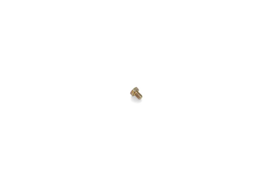 Screw-Hh - Originale Toro - 33113-008