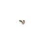 Screw-Carr - Originale Toro - 33124-025