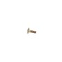 Screw-Carr - Originale Toro - 33124-025