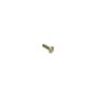 Screw-Carr - Originale Toro - 3229-2