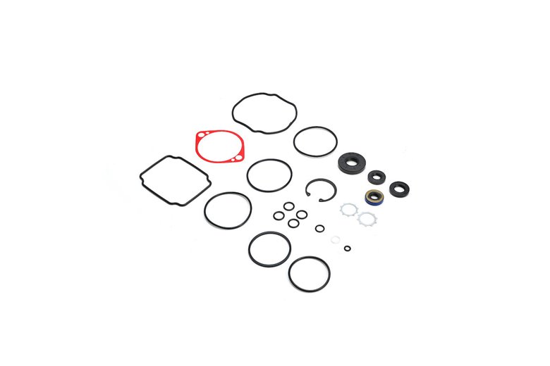 Seal Overhaul Kit - Originale Toro - 105-6184