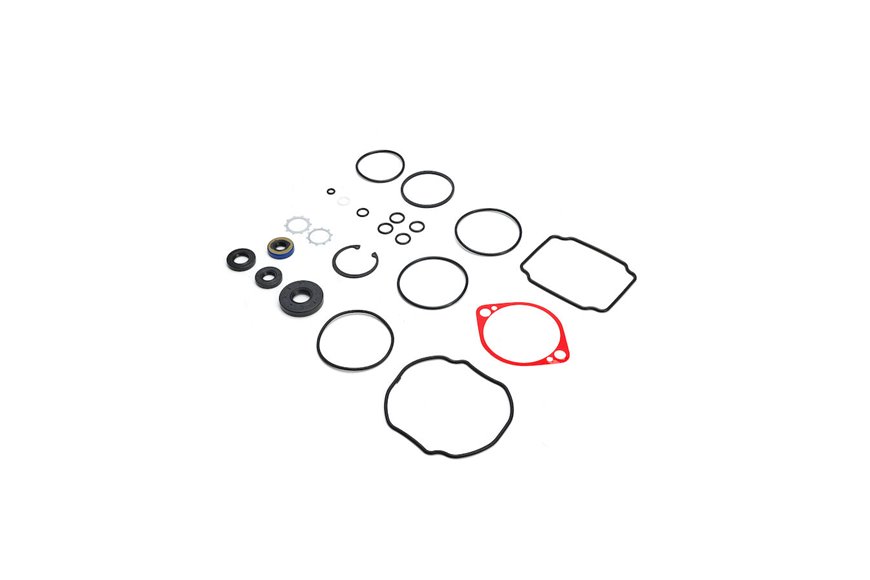 Seal Overhaul Kit - Originale Toro - 105-6184