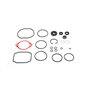 Seal Overhaul Kit - Originale Toro - 105-6184