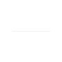 Seal-Foam - Originale Toro - 130-8489