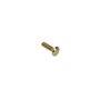 Screw-Carr - Originale Toro - 3231-4