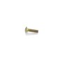 Screw-Carr - Originale Toro - 3231-4