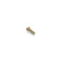 Screw-Hh - Originale Toro - 322-5