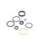 Seal Kit - Originale Toro - 107-2564