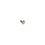 Screw-Carr - Originale Toro - 3230-23