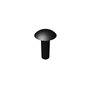 Screw-Carr - Originale Toro - 3229-34