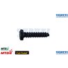 Coperchio Vite - MTD / Cub Cadet - Originale - 791-181345