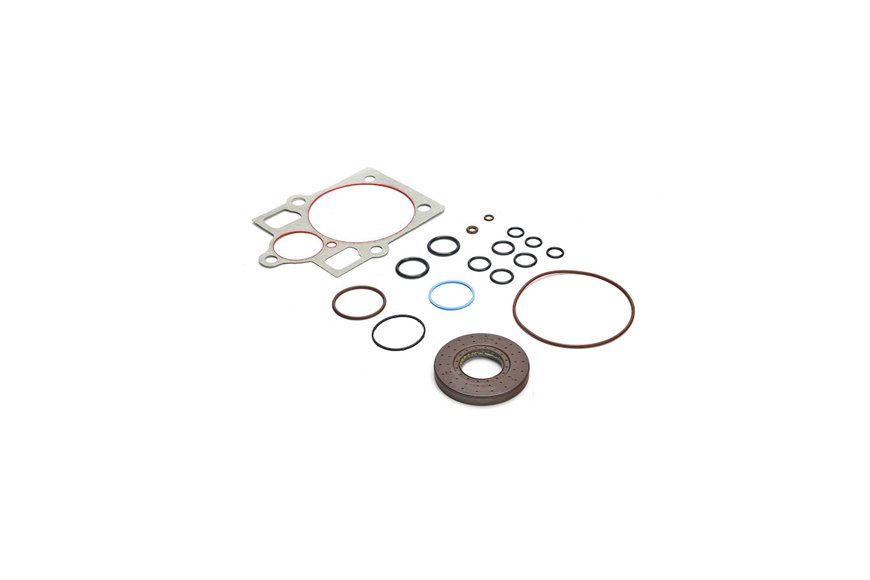 Overhaul Seal Kit - Originale Toro - 121-1736