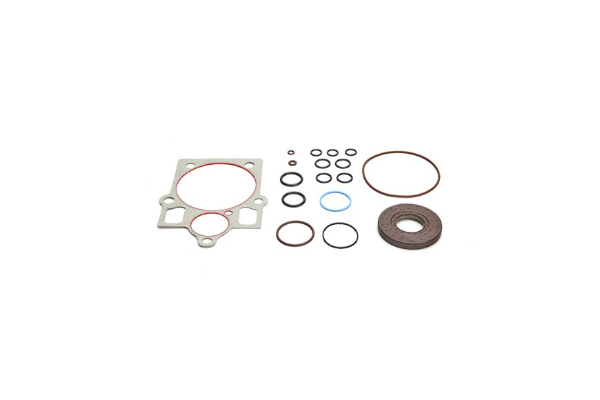 Overhaul Seal Kit - Originale Toro - 121-1736