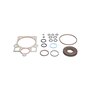 Overhaul Seal Kit - Originale Toro - 121-1736