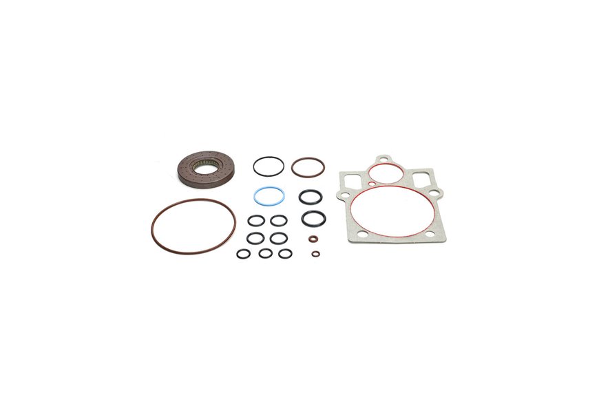 Overhaul Seal Kit - Originale Toro - 121-1736
