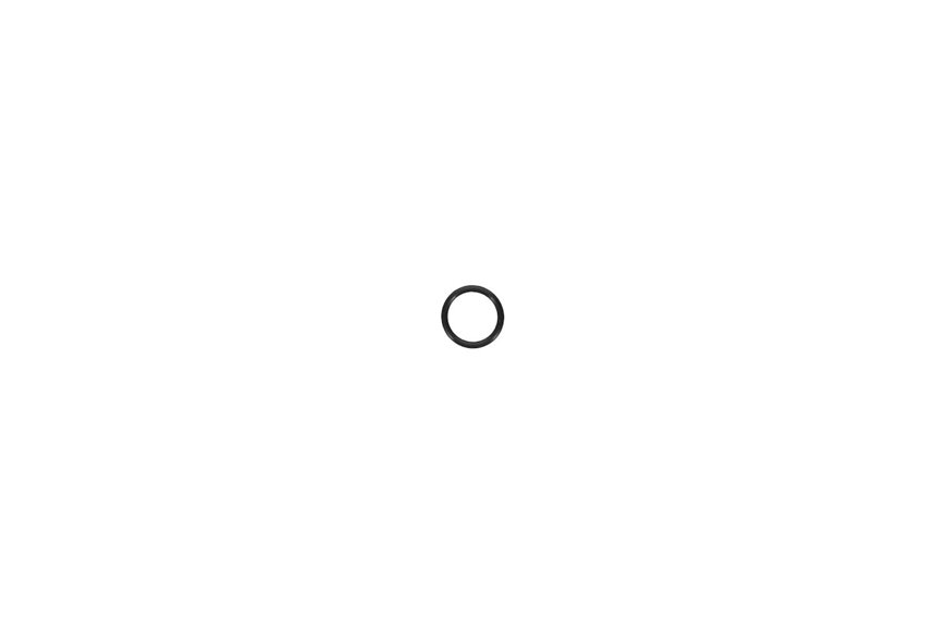 O-Ring - Originale Toro - 237-79
