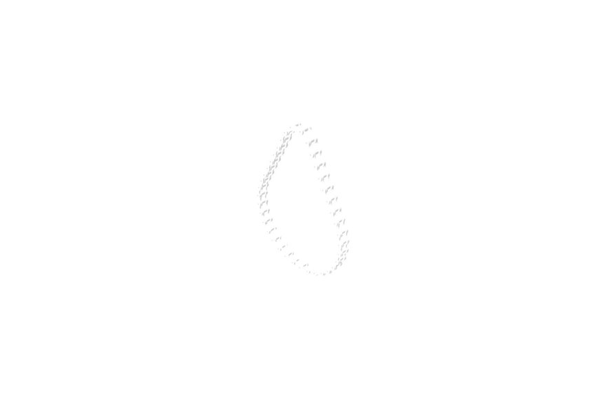 Chain-Roller - Originale Toro - 106-7293