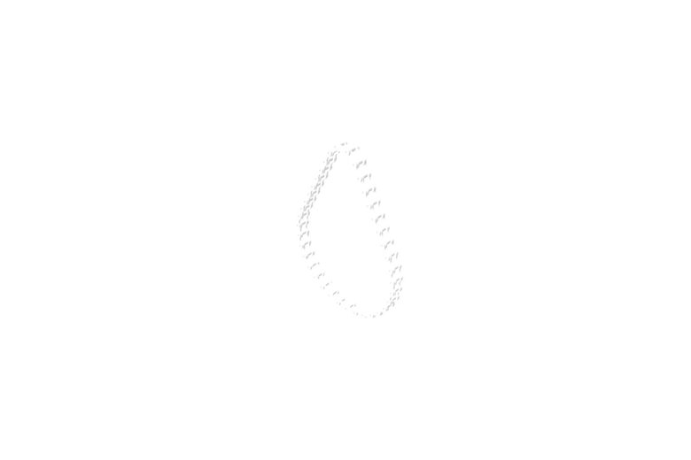 Chain-Roller - Originale Toro - 106-7293