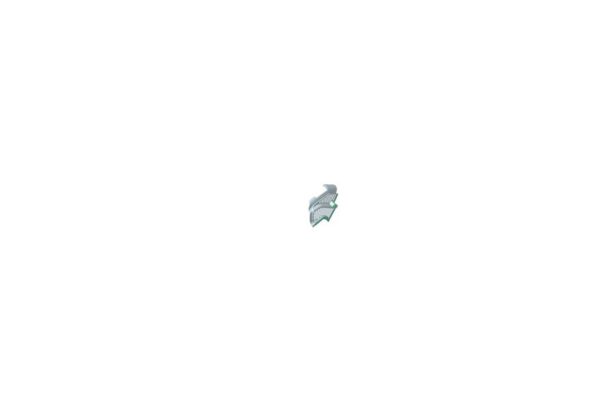 Baffle-Heat, 4-Cycle - Originale Toro - 114-3794