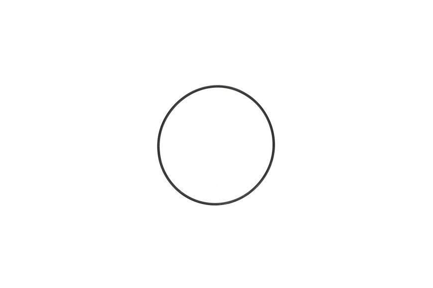 O-Ring - Originale Toro - 237-99