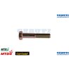 Esagonaletappo Vite - MTD / Cub Cadet - Originale - 710-1018