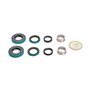 Dpa Reel Seal Kit - Originale Toro - 106-6937