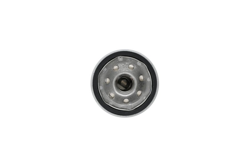 Element-Filter, 25 Micron - Originale Toro - 114-3494