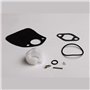 Carb Float And Needle Kit - Originale Toro - 119-1988