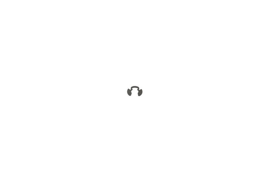 Ring-Retaining - Originale Toro - 32151-47