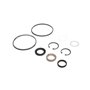 Hyd Motor Seal Kit - Originale Toro - 353-461