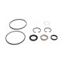 Hyd Motor Seal Kit - Originale Toro - 353-461