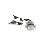 Variator-Drive - Originale Toro - 120-8781