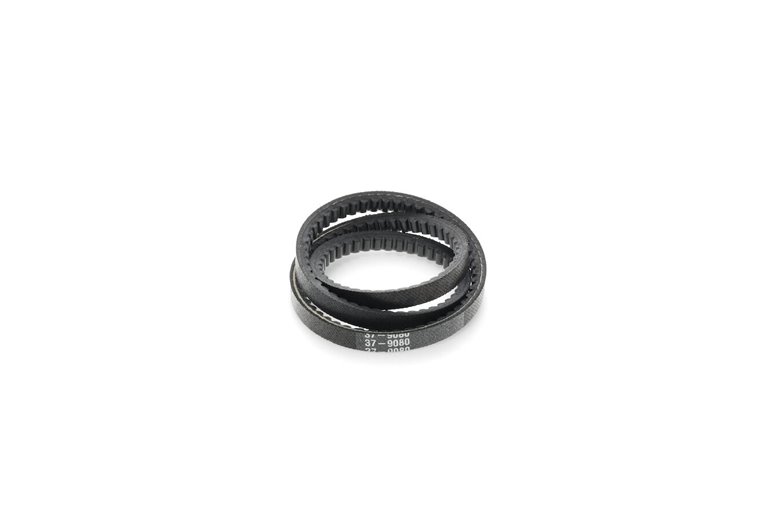 V-Belt - Originale Toro - 37-9080