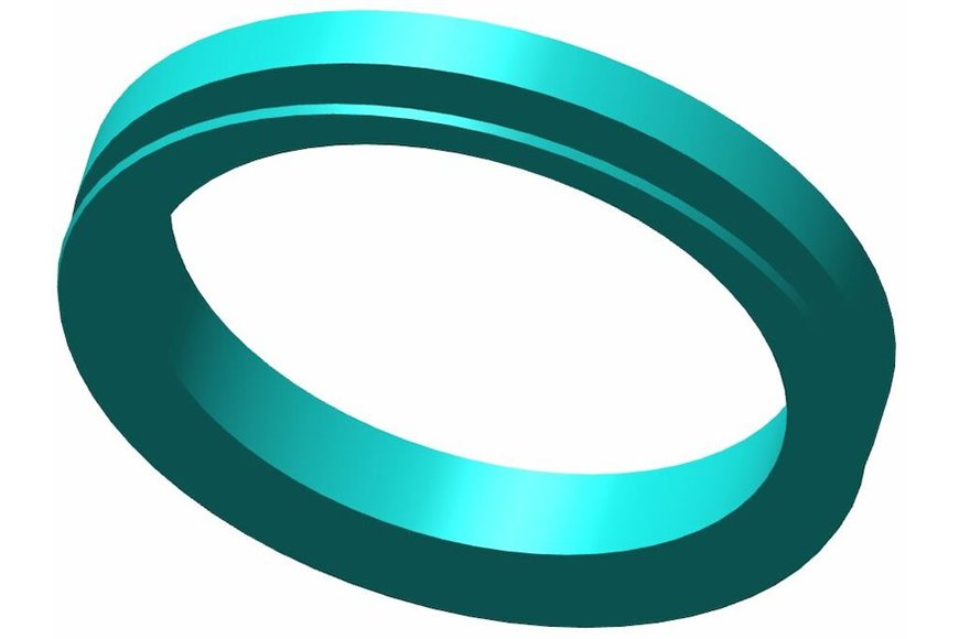 V-Ring - Originale Toro - 106-6929