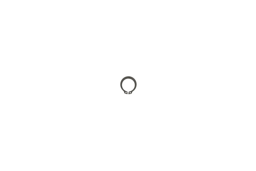 Ring-Retaining - Originale Toro - 32151-12