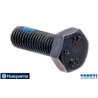 Schraube - 535415301 - Original Husqvarna Ersatzteile