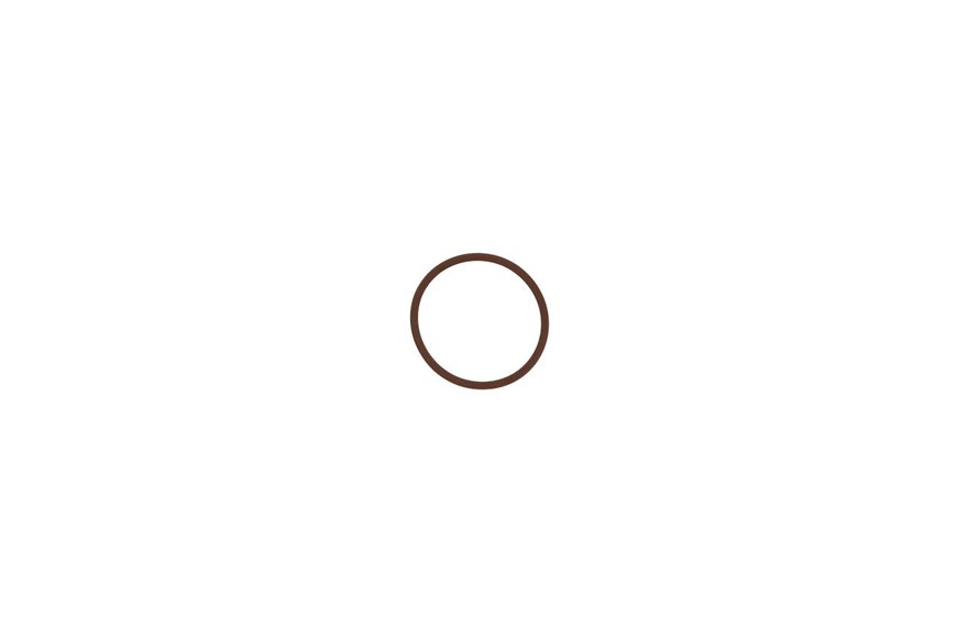 O-Ring - Dust Seal, Viton - Originale Toro - 99-0815