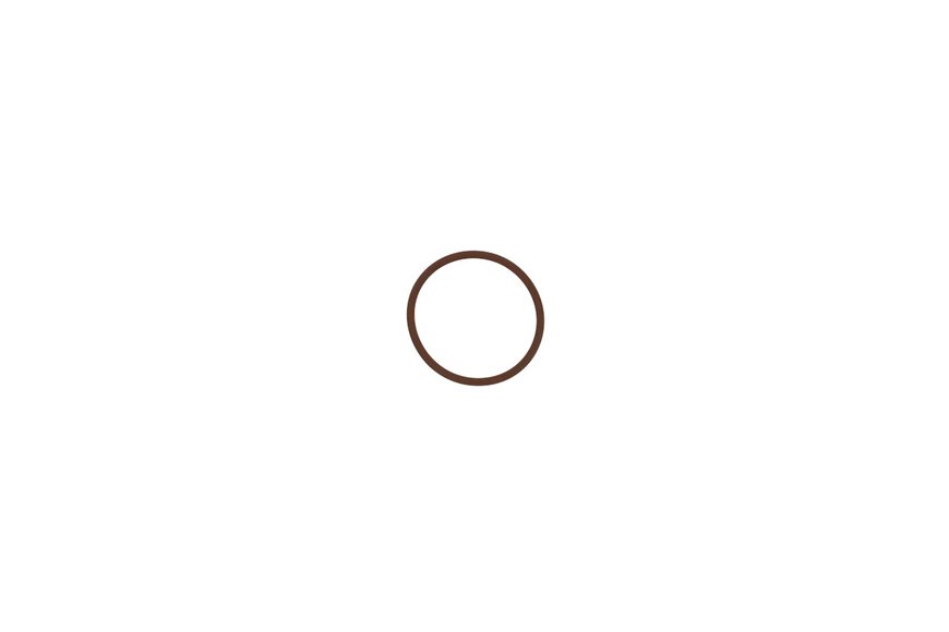 O-Ring - Dust Seal, Viton - Originale Toro - 99-0815