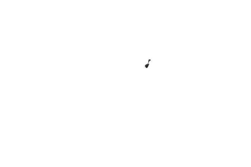 Cable-Throttle - Originale Toro - 131-1007