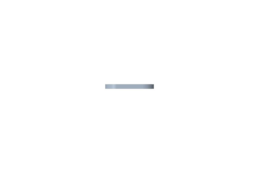Pad-Bracket - Originale Toro - 117-9732-01