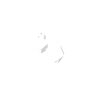 Lh Fuel Tank Asm - Originale Toro - 110-0434