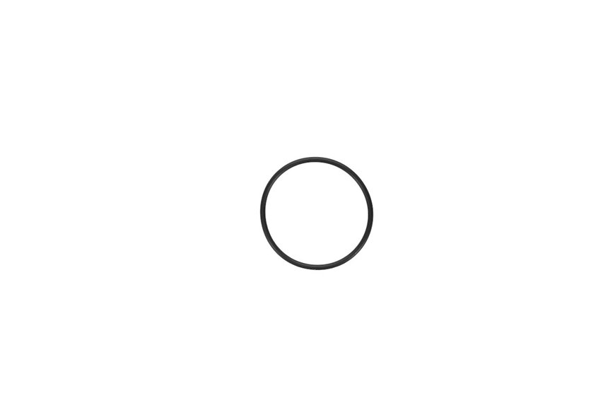 O-Ring - Originale Toro - 107-3244
