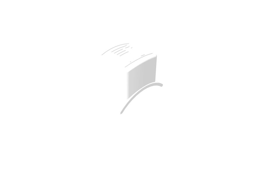 Button-Hoc - Originale Toro - 100-9138
