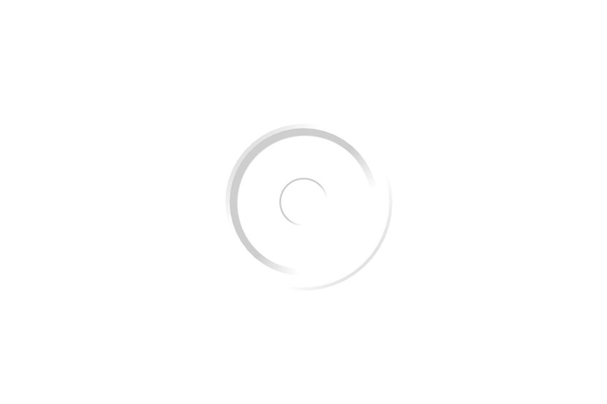 Retainer-Clutch - Originale Toro - 110-0854