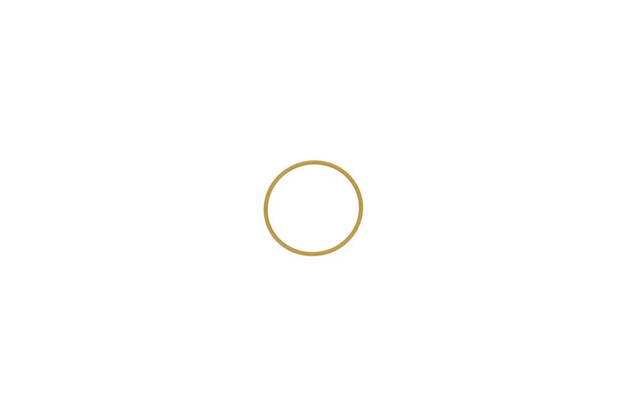 O-Ring - Originale Toro - 112-6968